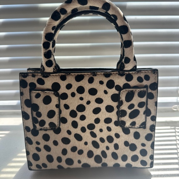 [1st Generation] Dalmatian Ponyhair Keui Brandon Blackwood - Picture 2 of 2